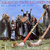 Arauco Tañi Lkantun