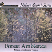 Forest Ambience (Nature sounds only version)