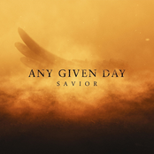 Any Given Day: Savior