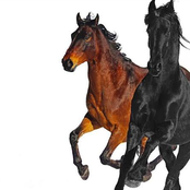 Old Town Road