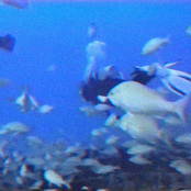 lo​-​fi house that i gone and done between 2019 and 2021