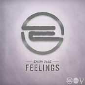 Enigma Dubz: Feelings