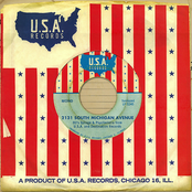 2131 South Michigan Avenue: 60's Garage & Psychedelia From U.S.A. And Destination Records