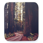 Sinaloa: Computer Music