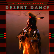 Desert Dance by R. Carlos Nakai