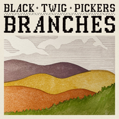Branches