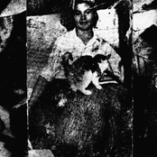 A Decade Of Bestiality