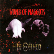 My Pleasure by Womb Of Maggots