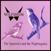 The Sparrows and the Nightingales Album Picture