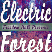 Electric Forest