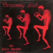 the danse macabre collection