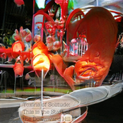 This is the Start of the Downward Hill