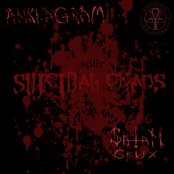 Suicidal Chaos (Split)