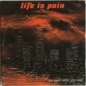 Harvest what you Sow