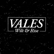 Waterfalls by Vales