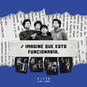 Imaginé Que Esto Funcionaría