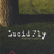 11th Hour by Lucid Fly