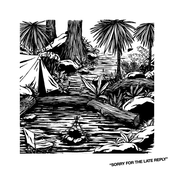 Sorry for the Late Reply: Various Remixes for Various Reasons