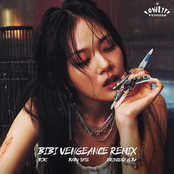 BIBI Vengeance (feat. Baby Tate) [Remix] - Single