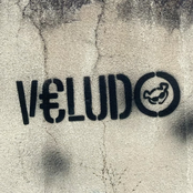 VELUDO