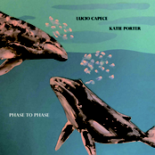 Phase to Phase