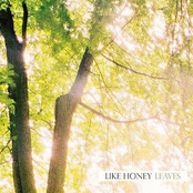 I Can't Sleep Without You by Like Honey