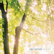 Like A Song by Like Honey