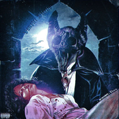 Bad Neighbors: Vampire Diaries