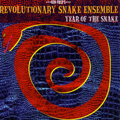 Soul Power by Revolutionary Snake Ensemble