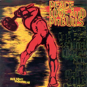 Pig Machine by Peace, Love & Pitbulls