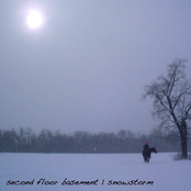 Snowstorm