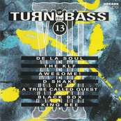 Turn up the bass - Volume 13