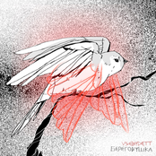 Береговушка - Single