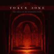 The Objects of Introspection