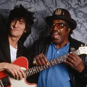 ron wood & bo diddley