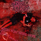 Wish You Were Here