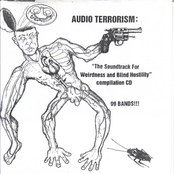 Audio Terrorism: The Soundtrack For Weirdness And Blind Hostility