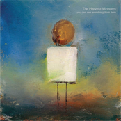 You Can See Everything From Here