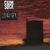 Disleksick / Cum Sock