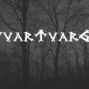 svartvarg