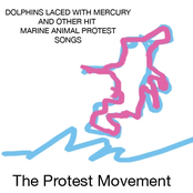 Dolphins Laced with Mercury and Other Hit Marine Animal Protest Songs