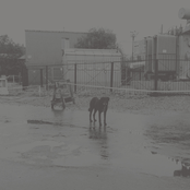 After its own death - Walking in a spiral towards the house