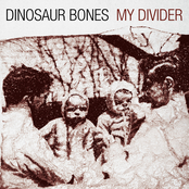 My Divider by Dinosaur Bones