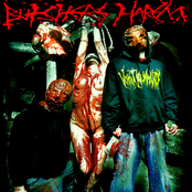 Butchers Harem