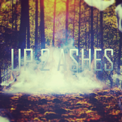 up 2 ashes