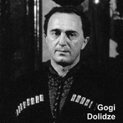 gogi dolidze