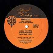 Zulu Nation Throwdown Volume 2