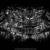 Geometric Schizophrenic