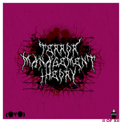 Terror Management Theory