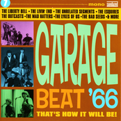 Garage Beat '66, Vol. 7: That's How It Will Be!